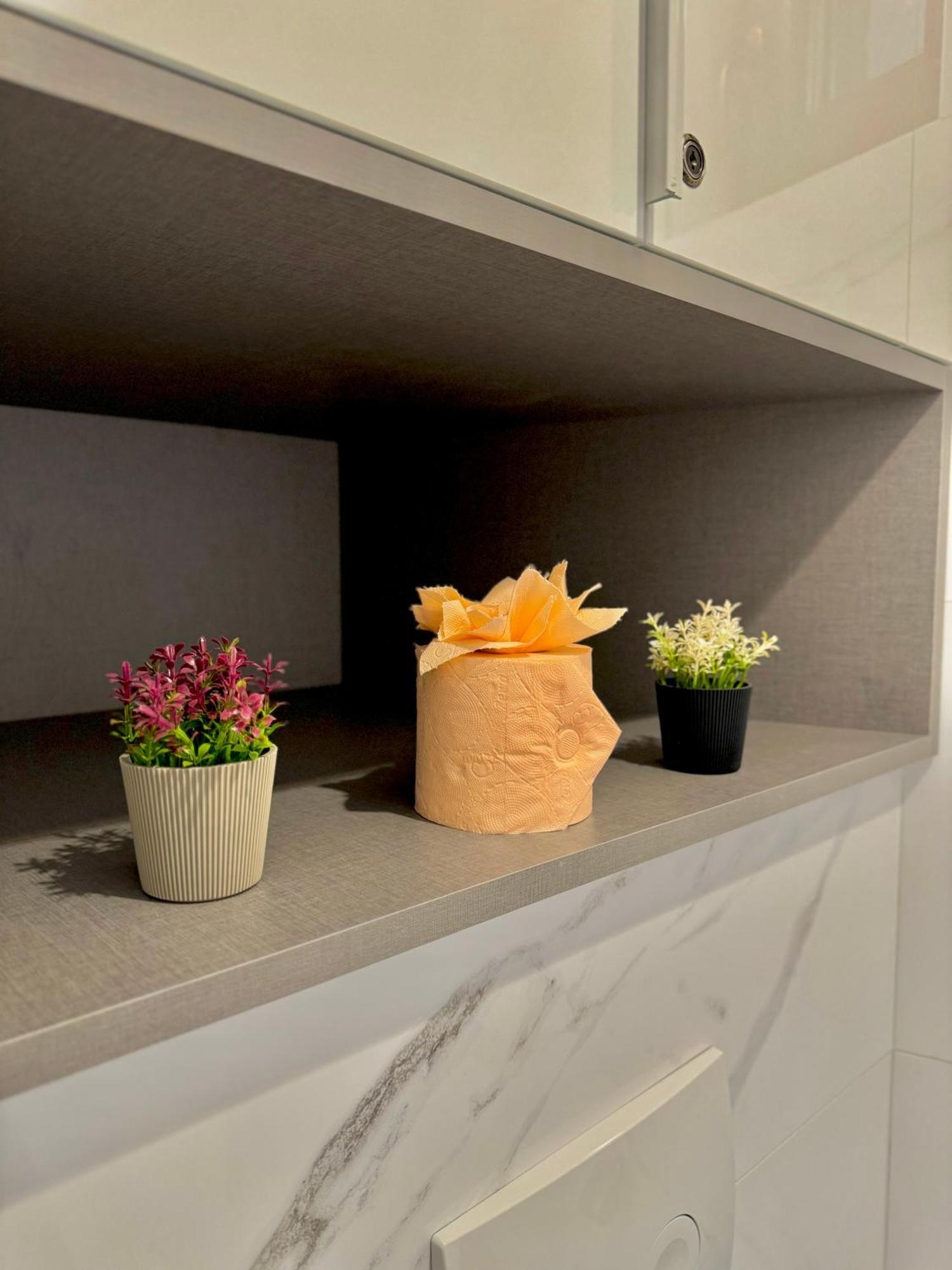 Blancris Boutique Apartment Brasov Ngoại thất bức ảnh